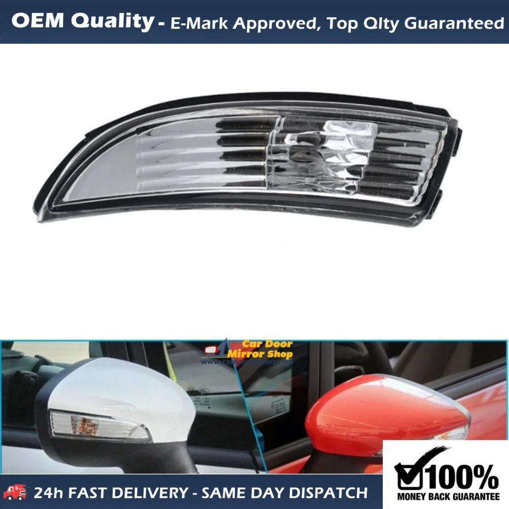 Wing Mirror Indicators — Left Passenger Side